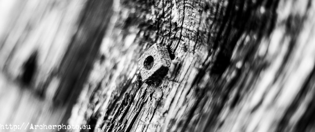 Wood and screw, by Archerphoto, commercial photographer in Spain